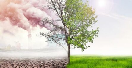 "Climate Change"