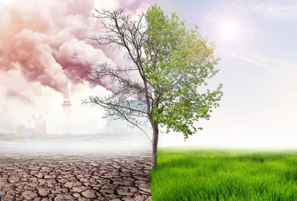 "Climate Change"